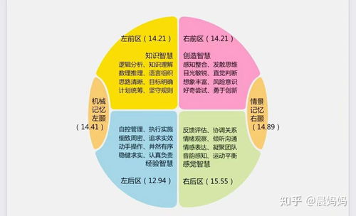 腦象測評 大腦使用說明書的醫(yī)學(xué)研究與試驗(yàn)發(fā)展