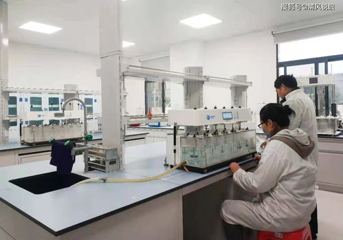 喜訊！真奧研究院新鮮螺旋藻功能性食品成功中試，引領醫學研究與試驗發展新方向
